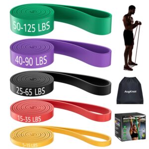 Resistance Bands for Working Out: 5-Levels Exercise Bands Set - Pull Up Assistance Elastic Silicone - Physical Therapy/Stretching/Training - Home Gym for Women and Men