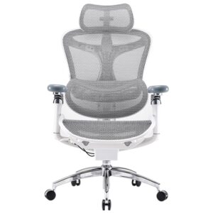 SIHOO Doro C300 Pro Ergonomic Office Chair with Ultra-Soft 6D Armrests, Dynamic Lumbar Support, and Seat Depth Adjustment for Office (Grey)