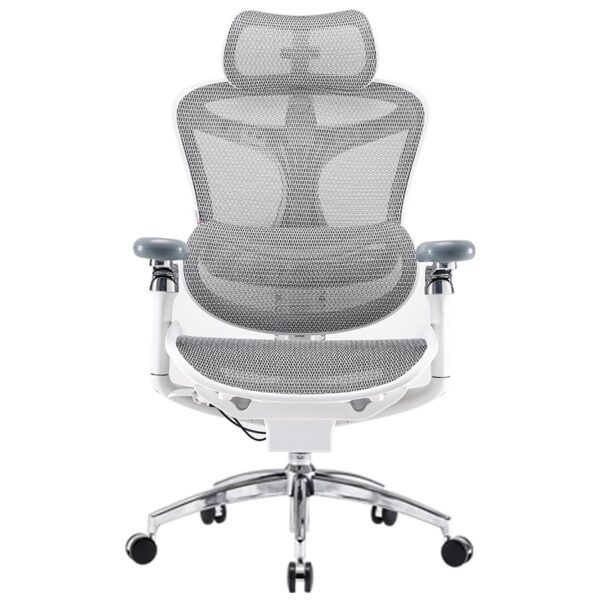 SIHOO Doro C300 Pro Ergonomic Office Chair with Ultra-Soft 6D Armrests, Dynamic Lumbar Support, and Seat Depth Adjustment for Office (Grey)
