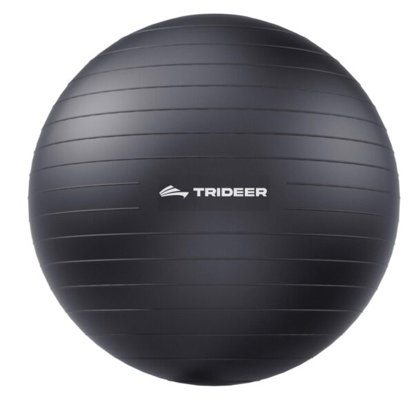Trideer Extra Thick Yoga Ball Exercise Ball, 5 Sizes Gym Ball, Heavy Duty Ball Chair for Balance, Stability, Pregnancy, Quick Pump Included